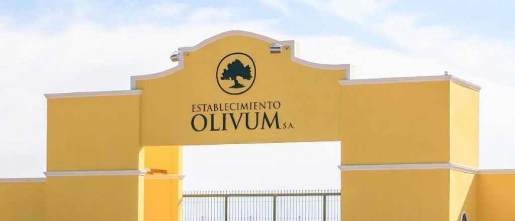 Le amputaron una pierna a un mendocino por un accidente laboral