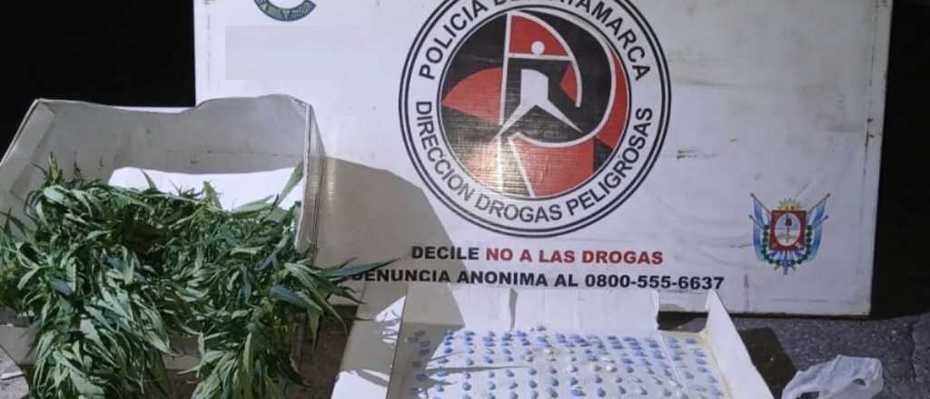 Hallaron marihuana, cocaína y ansiolíticos en un micro rumbo a Mendoza
