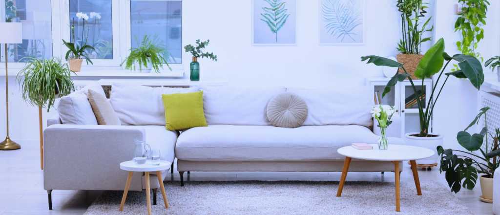 Cómo colocar fotografías y atraer energía en casa según el Feng Shui