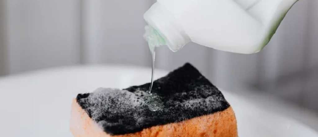 C&oacute;mo mantener la esponja de cocina desinfectada con trucos f&aacute;ciles