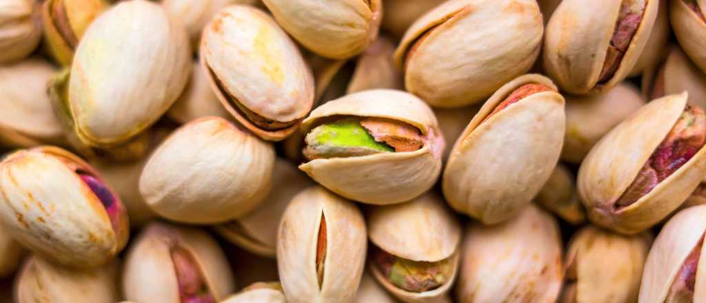 Cómo plantar un árbol de pistacho en casa y lograr una cosecha exitosa