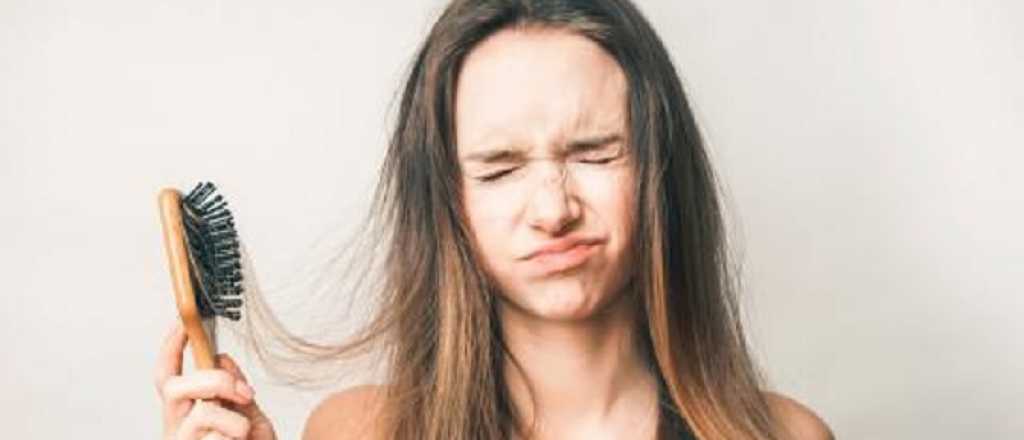 Si tu cabello se corta: esta nota es para vos