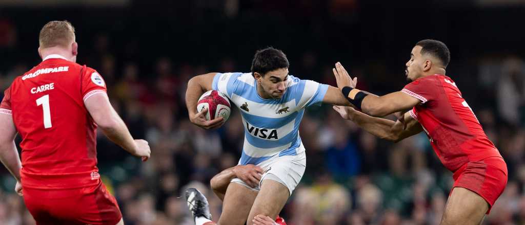 Los Pumas ya conocen a sus rivales para la Copa del Mundo