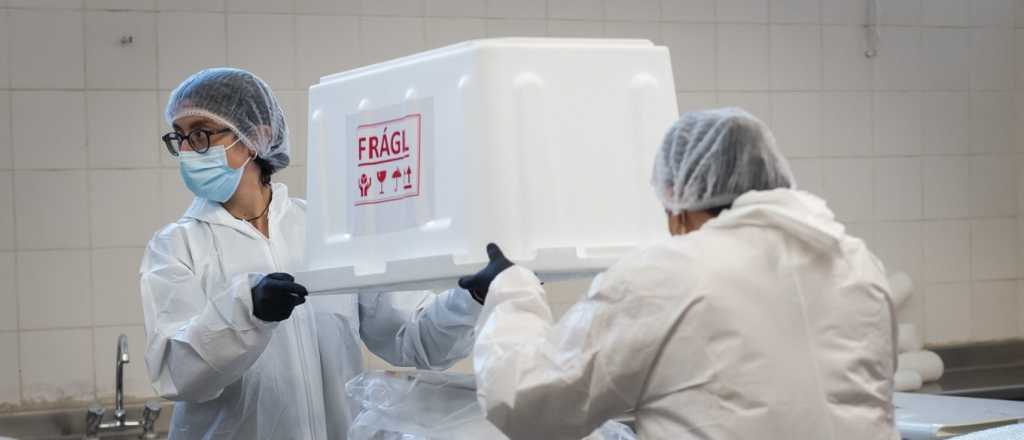 El "niño momia" fue llevado al Museo Moyano, pero no lo exhibirán