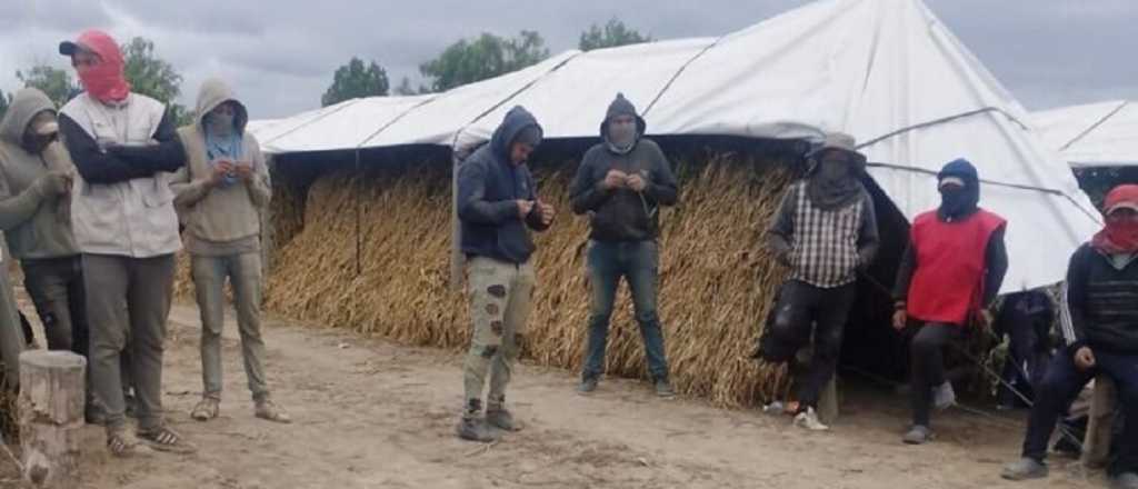 Descubren a 32 trabajadores en malas condiciones laborales en Tupungato