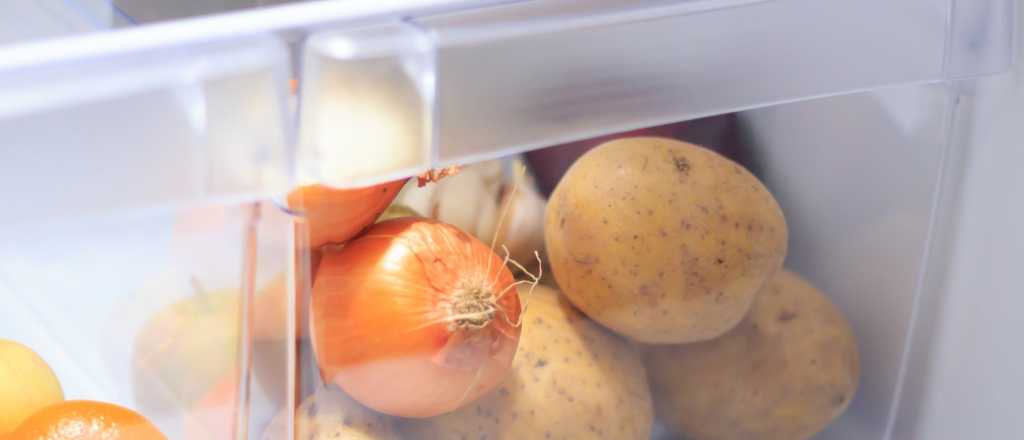 El truco con una papa que mejora tu heladera y arrasa en redes