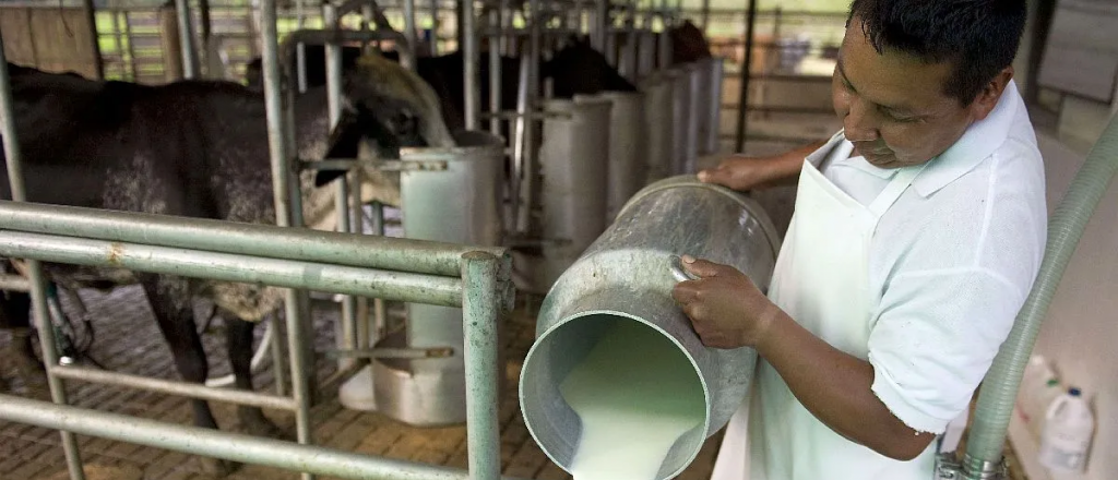 Quebró una histórica empresa láctea y dejó un tendal de desempleados