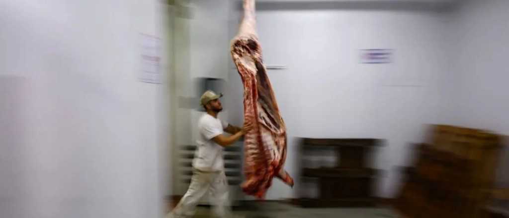 Importación de carne, pollo y quesos: qué habilita el pacto con EEUU
