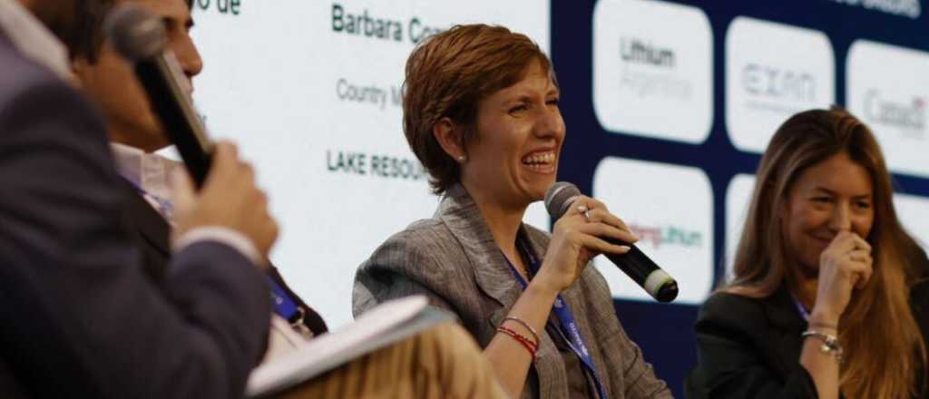 Latorre pidi&oacute; "aclarar competencias" en la Ley de Glaciares