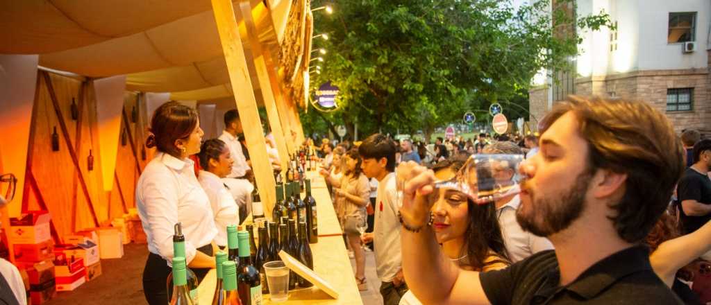 La Peatonal del Vino reuni&oacute; a m&aacute;s de 20 mil personas en su primera noche