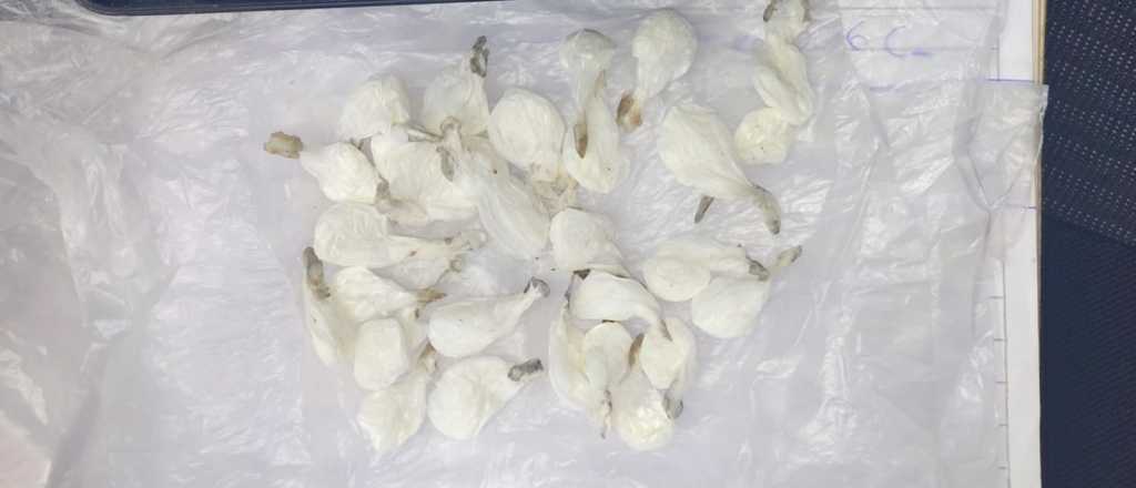 Dos detenidos con coca&iacute;na en Godoy Cruz, uno de ellos con m&aacute;s de medio kilo