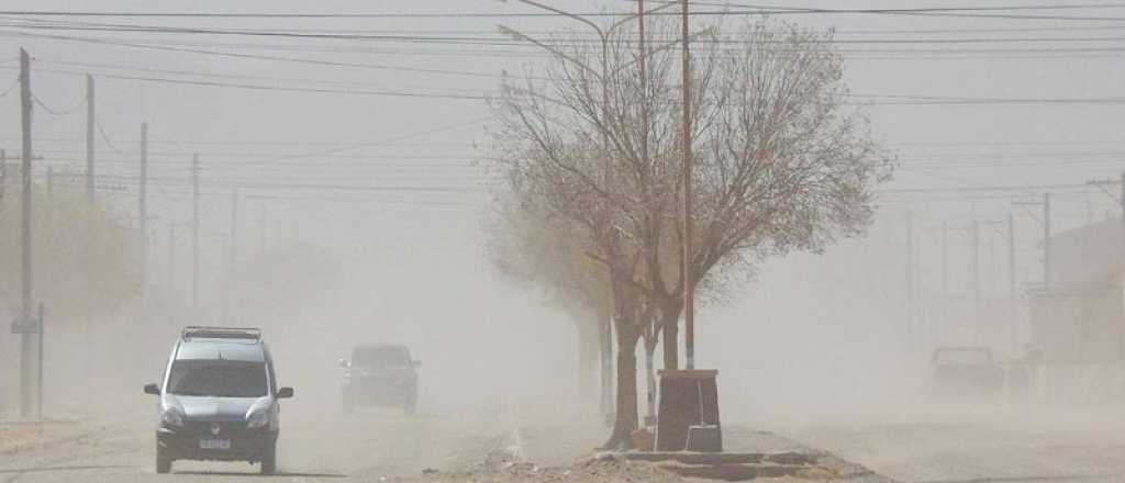 Tunuyán, Tupungato y Luján fueron las zonas más afectadas por el viento