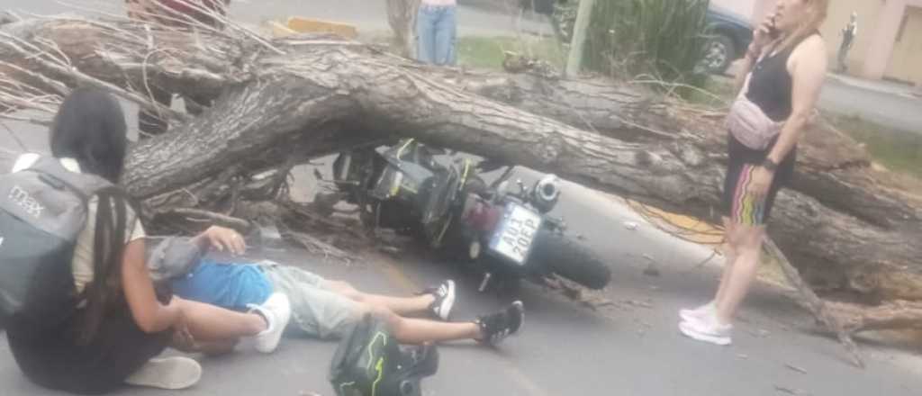 El viento derribó un árbol que cayó sobre una pareja en moto en Guaymallén