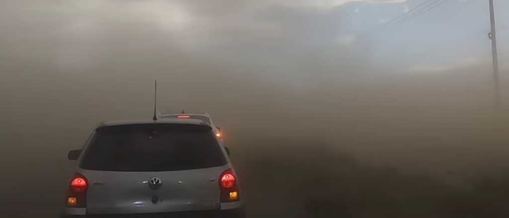 Heridos, incendios y árboles caídos por el viento en Mendoza