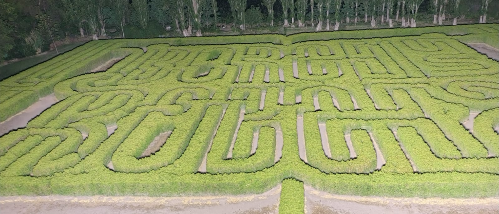 El secreto del laberinto del tiempo es la firmeza del paso