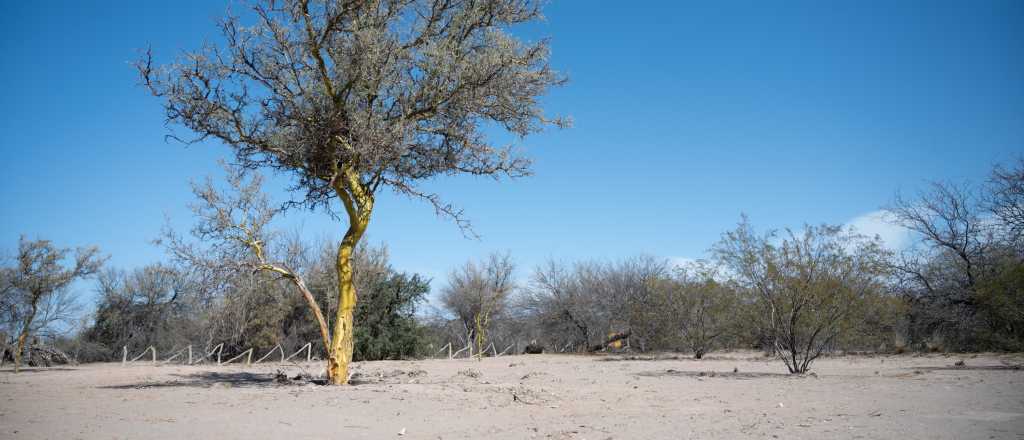 El desierto escondido de Mendoza que sorprende a sus visitantes