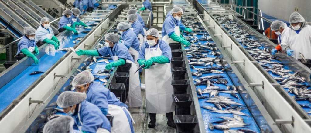 La actividad económica creció durante septiembre, según el INDEC