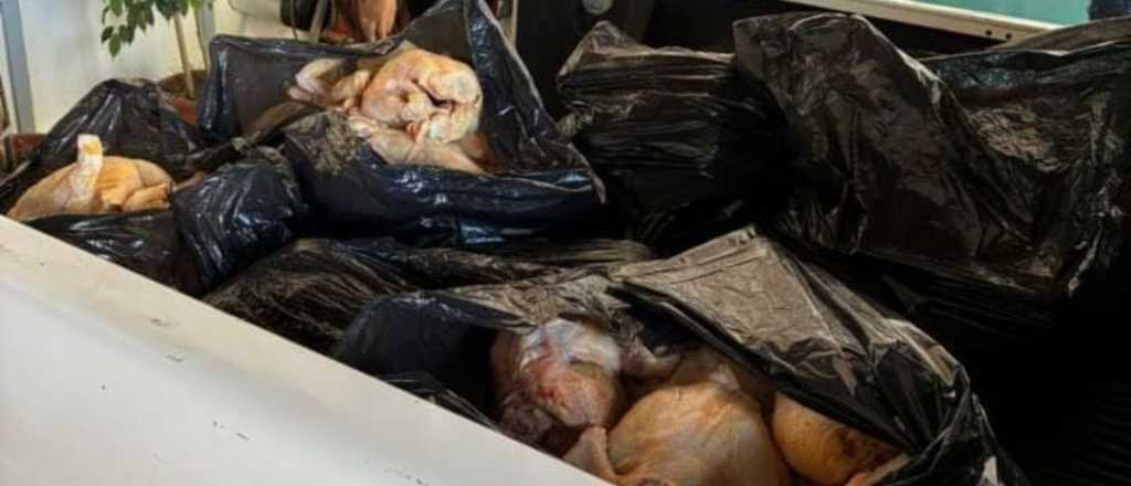 Secuestran más de 260 kg de carne en mal estado en Alvear y Guaymallén
