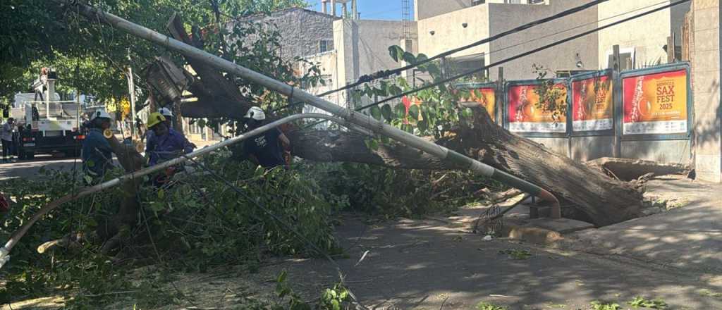 El viento dejó daños y cortes de luz en el Gran Mendoza