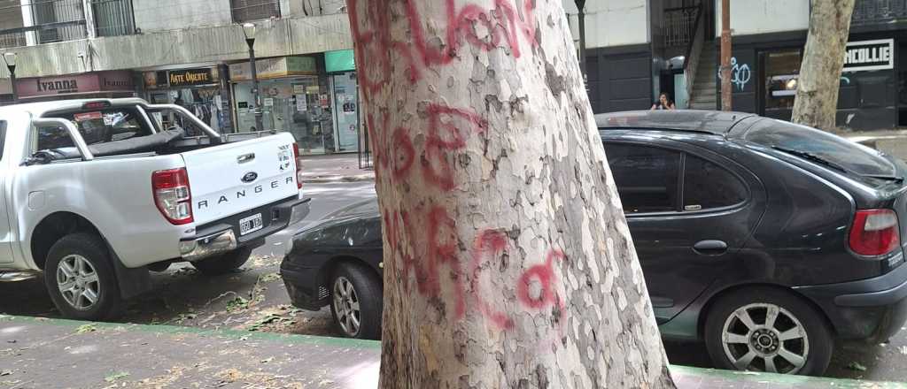 Vándalos dañaron árboles en pleno centro de Mendoza