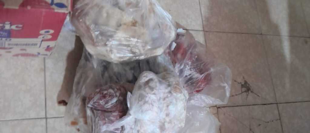 Encontraron carne en mal estado en un local de General Alvear