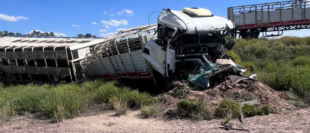 Volc&oacute; un cami&oacute;n con ganado en Santa Rosa y algunos animales murieron