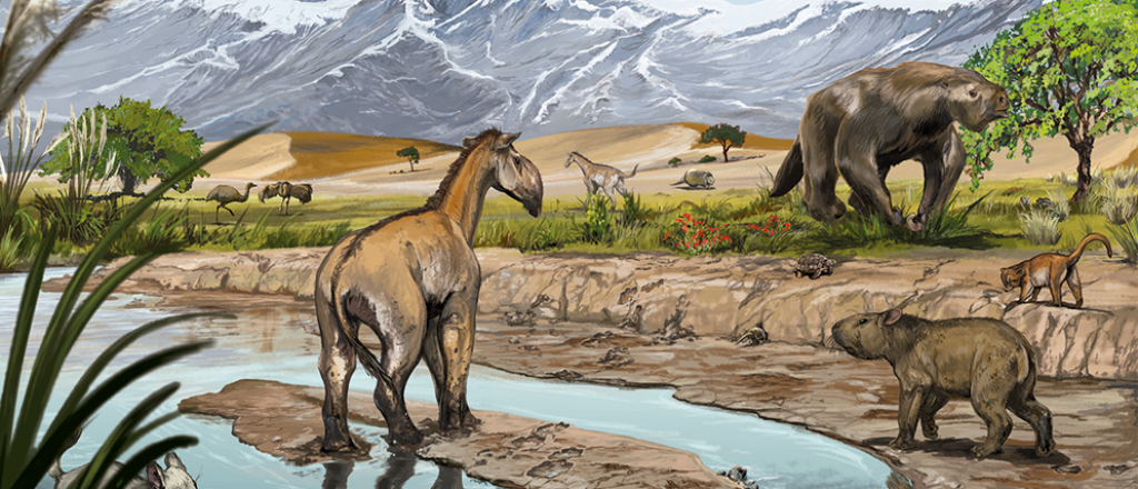 El desierto mendocino que guarda secretos de millones de años