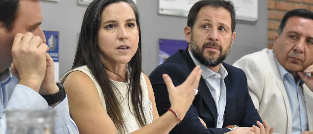 Avanza el proyecto que busca agilizar las causas por delitos menores