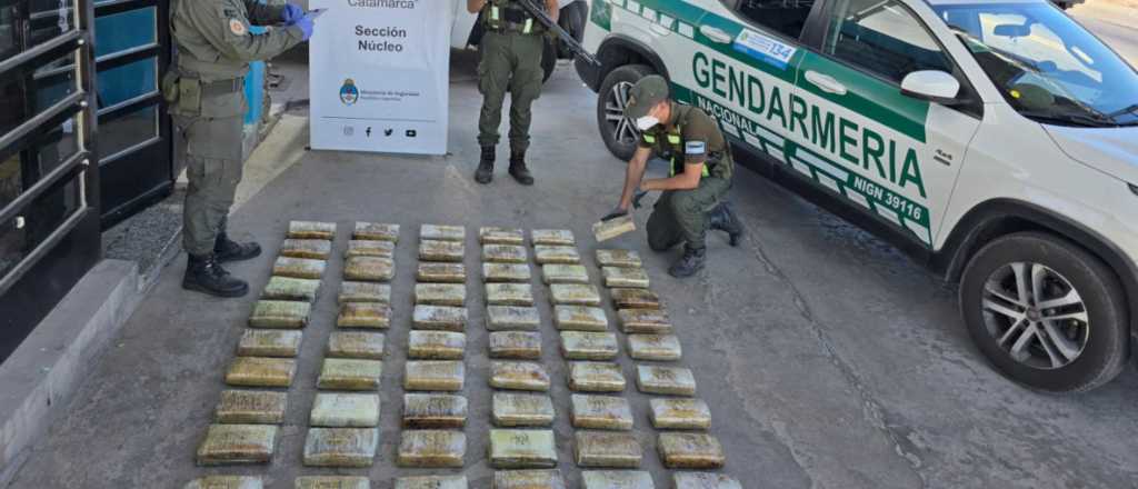 Cayeron tres mujeres que viajaban a Mendoza con 65 kilos de marihuana