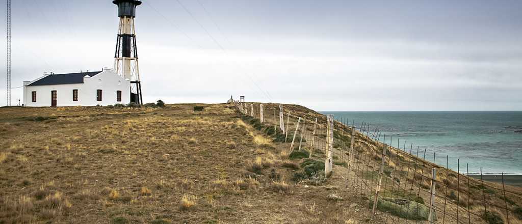 Escapada a Cabo Vírgenes: naturaleza salvaje en el inicio de la Ruta 40