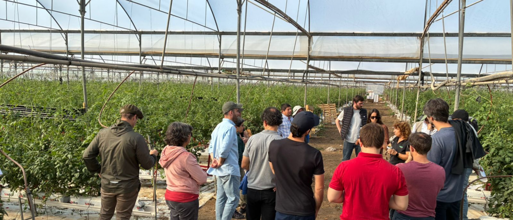 Unos $220 millones para el acuerdo con el INTA en programas agropecuarios