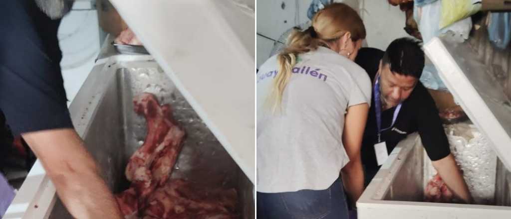 Secuestraron toros sin procedencia y carne en mal estado