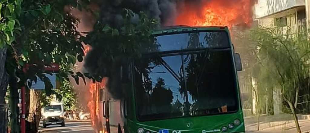 Un micro se incendi&oacute; en Dorrego y las llamas tomaron un &aacute;rbol