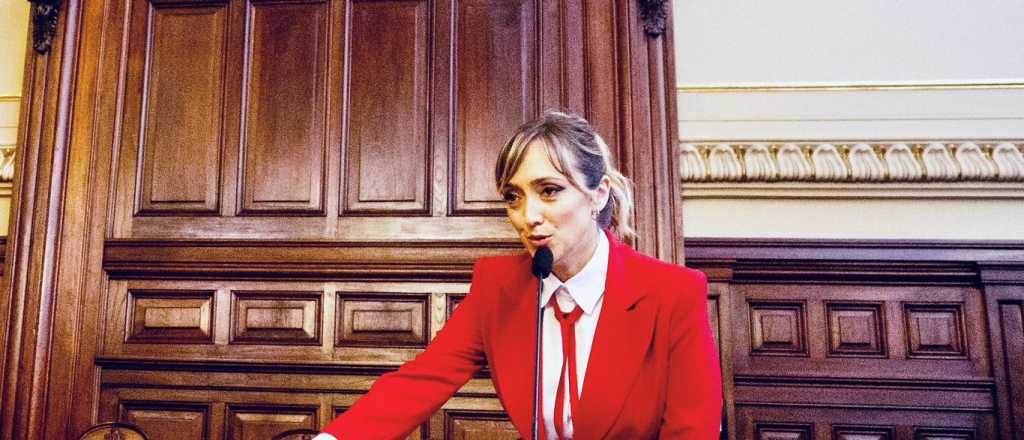 Fernández Sagasti juró como integrante del Consejo de la Magistratura