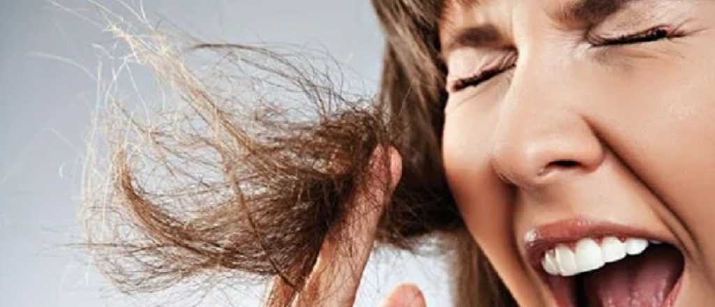 Secretos de peluquería para tener un pelazo