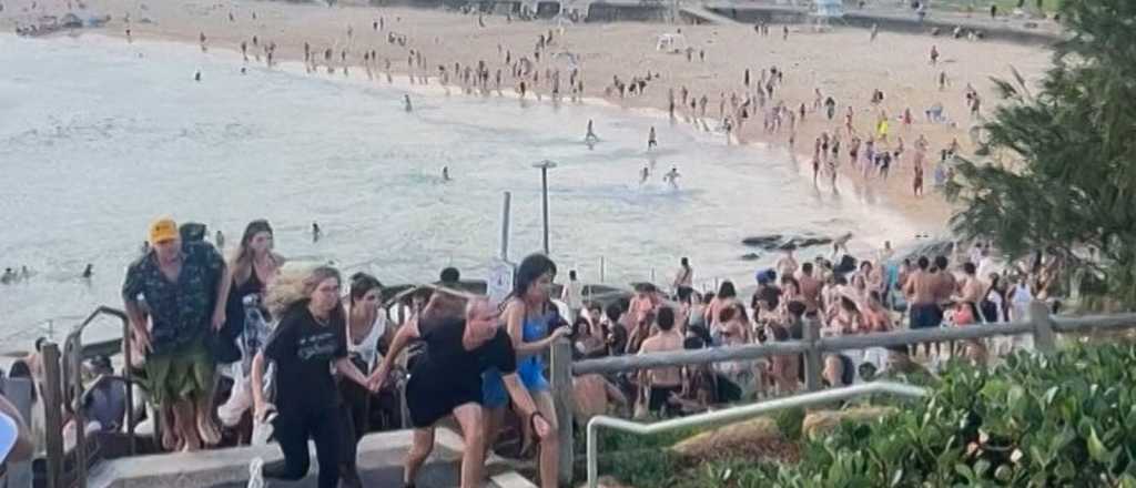 El argentino que sobrevivió al atentado en Sidney: "Me salvó mi instinto"