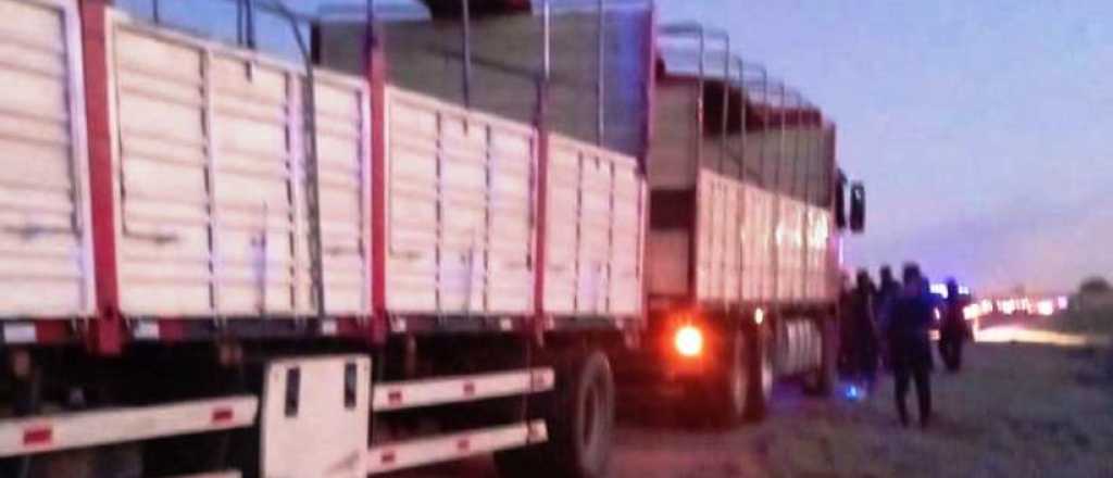 Detuvieron a un camionero manejando borracho en el Acceso Este