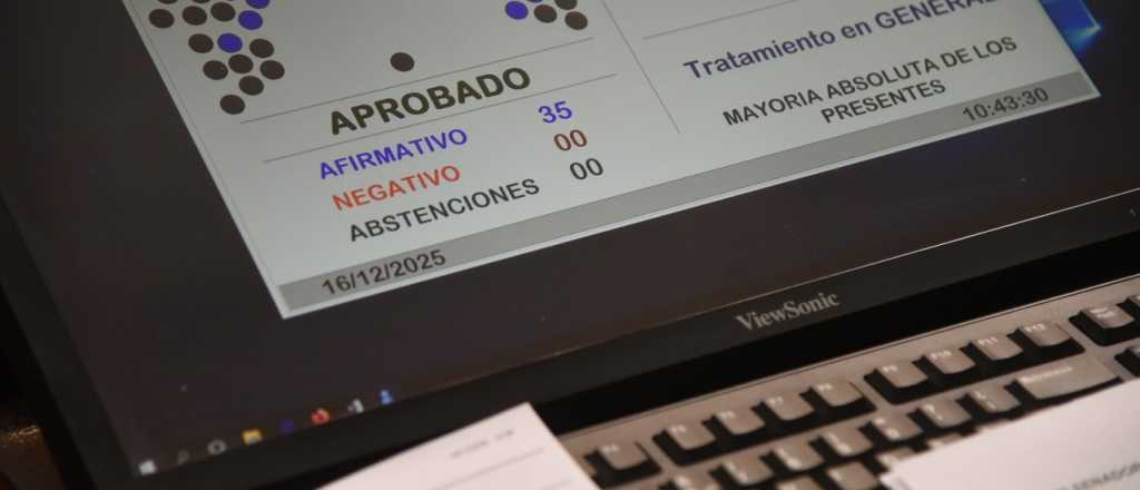 El Senado aprobó el proyecto para denunciar faltas viales con videos