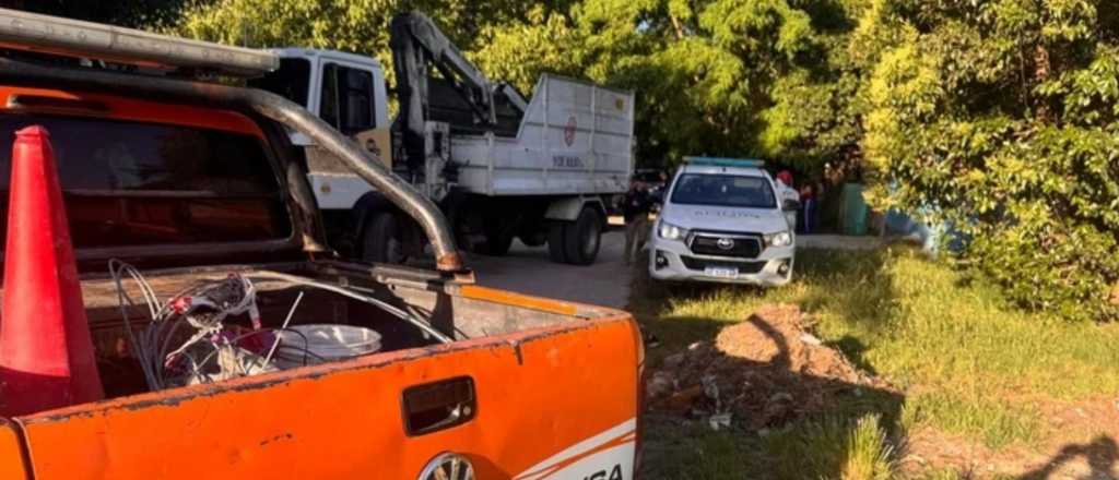 Una mujer envenen&oacute; a 28 mascotas y luego se suicid&oacute;