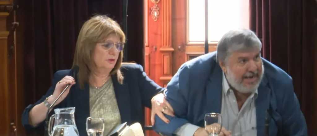 "Hacen lo que se les canta las pelotas": cruce entre un senador K y Bullrich