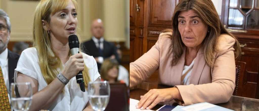 Ley de Glaciares: en medio de tensiones expone el Ianigla en el Congreso