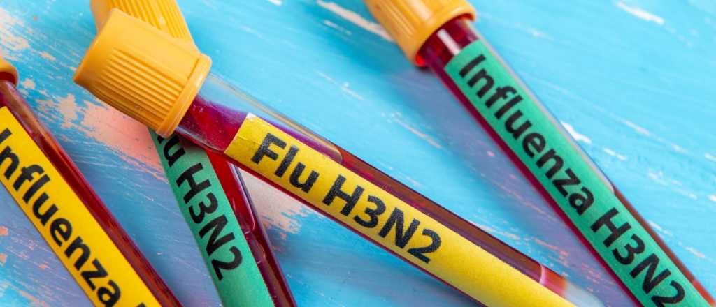 Qu&eacute; aconsejan los infect&oacute;logos ante los casos de "gripe K"