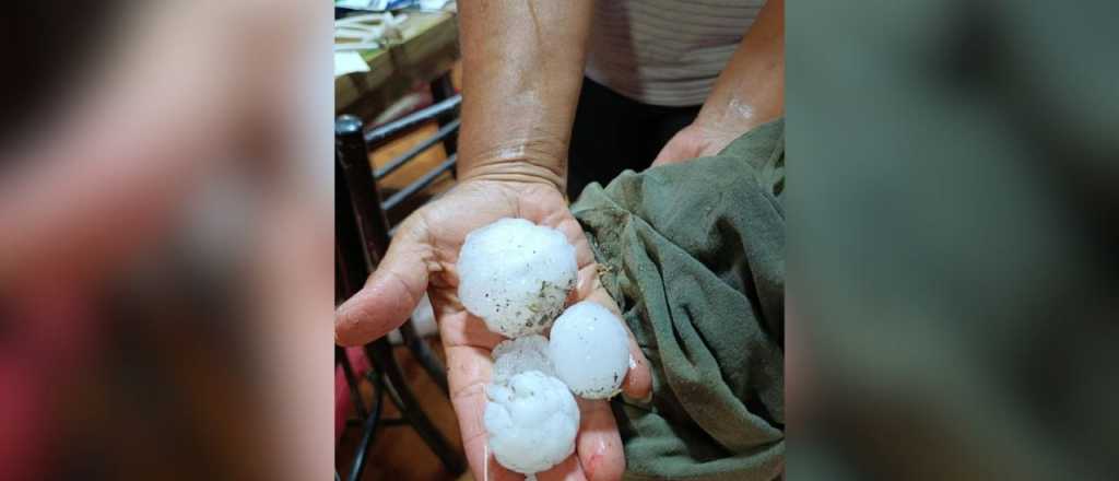 Impactante tormenta con granizo en San Rafael inundó calles y tiró árboles
