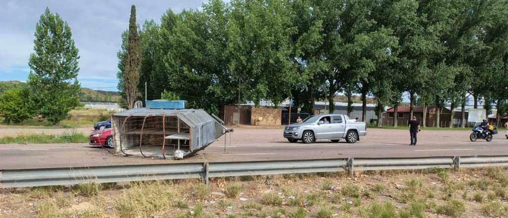 Volcó un vehículo con caballos en el Acceso Sur: hay dos heridos graves