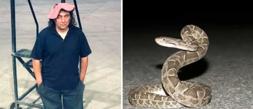 No pudieron salvarlo: lo mordió una yarará y murió