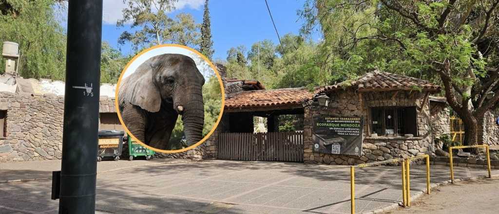 Piden explicaciones por el Ecoparque tras la muerte de Kenya