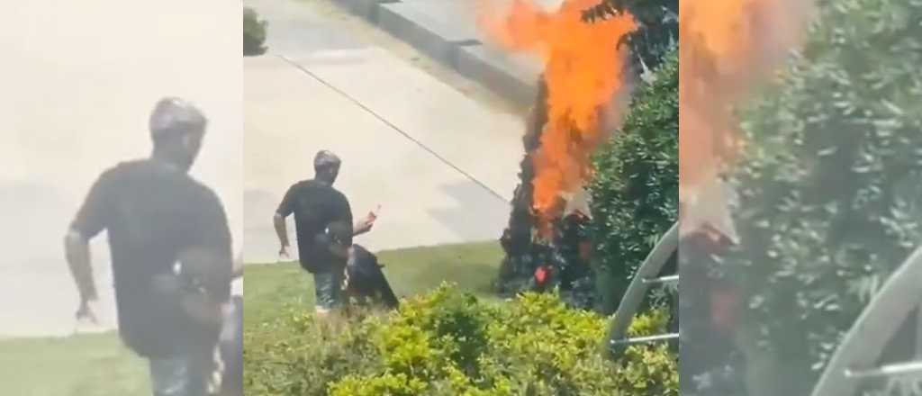 Reclamo a intendente de La C&aacute;mpora: quemaron un &aacute;rbol de Navidad
