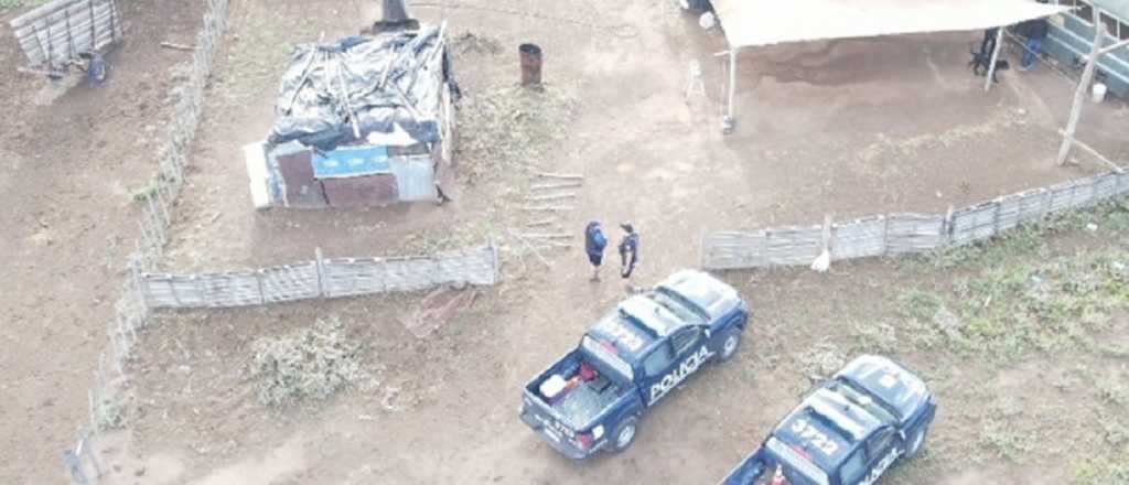 Desarticularon a la banda que hac&iacute;a faena clandestina en el Valle de Uco 