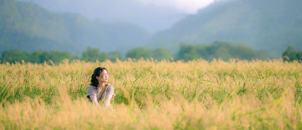 Hor&oacute;scopo de hoy: que esperan los signos para este s&aacute;bado 27 de diciembre