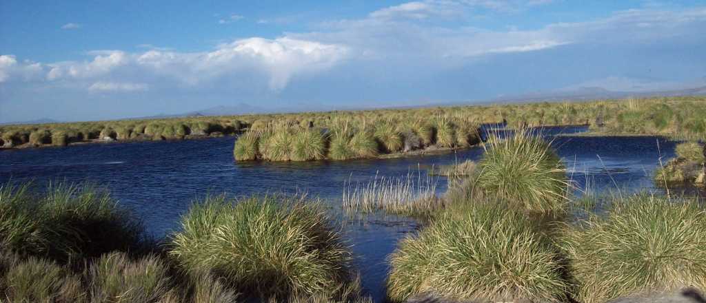 El para&iacute;so de aguas cristalinas donde quieren practicar buceo en Mendoza